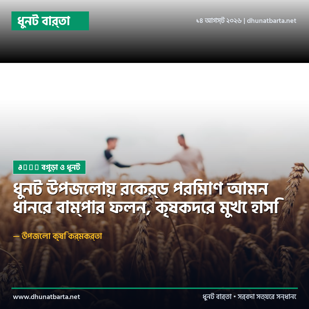 ধুনট উপজেলায় রেকর্ড পরিমাণ আমন ধানের বাম্পার ফলন, কৃষকদের মুখে হাসি