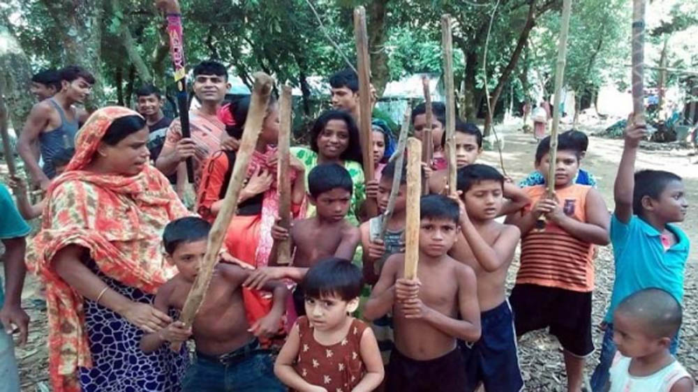বগুড়ায় একদিনে ২৪জনকে কামড়েছে শিয়ালের দল