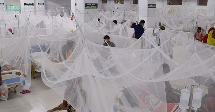 ডেঙ্গু রোগী ৮ মাসে ছাড়ালো ১০ হাজার