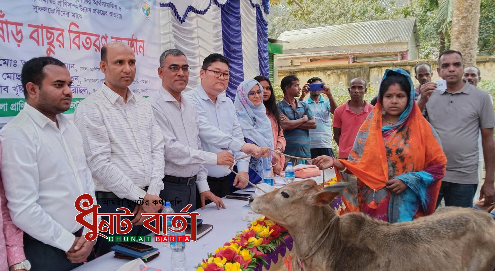 ধুনটে ক্ষুদ্র-নৃগোষ্ঠিদের মাঝে বাড়ন্ত ষাঁড় বাছুর বিতরণ