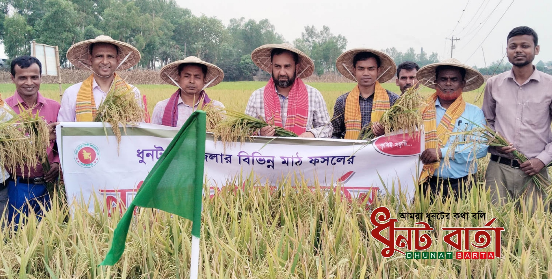 ধুনটে নমুনা প্রদর্শনী ব্রি-ধান ১০৪ কর্তনের উদ্বোধন